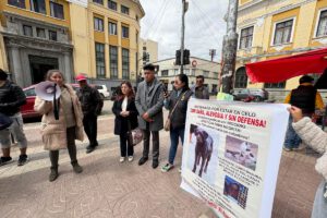 Defensores de animales