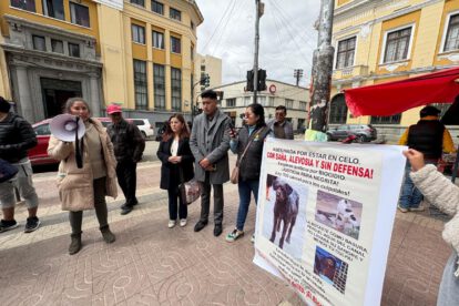 Defensores de animales