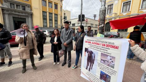 Defensores de animales