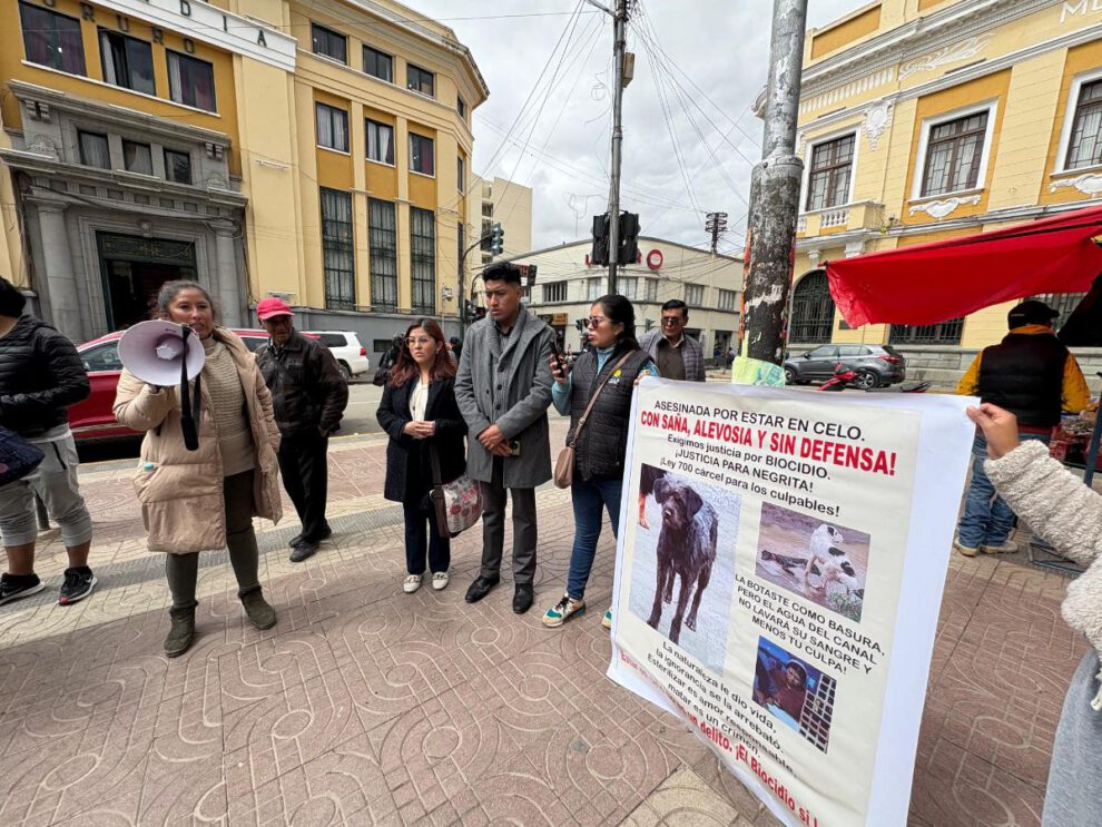 Defensores de animales