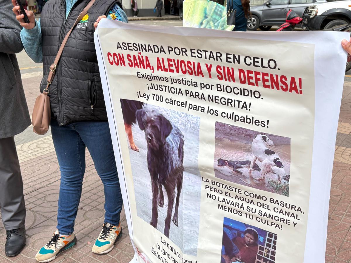 Defensores de animales