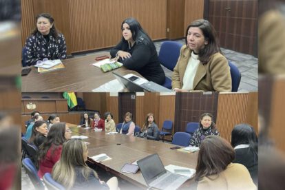 El Viceministerio inició la coordinación