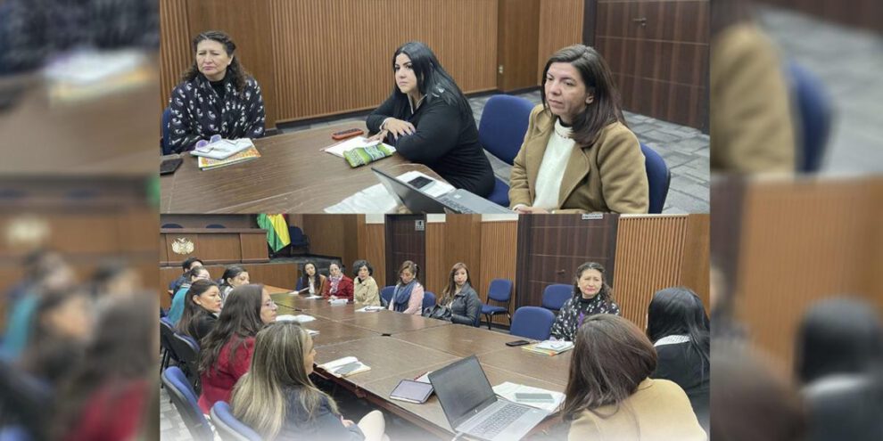 El Viceministerio inició la coordinación