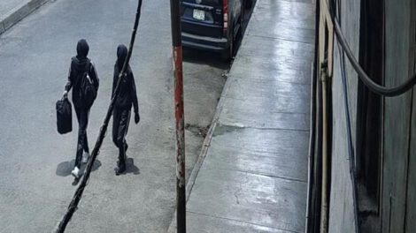 Imagen de los malechores llevándose las cosas