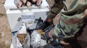 pescados y uniformados