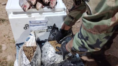 pescados y uniformados