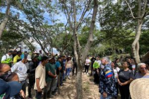 En la lucha contra la deforestación se planea plantar 11 millones de árboles antes de que acabela gestión