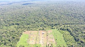 El impacto de la ocupación en los bosques