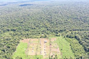 El impacto de la ocupación en los bosques