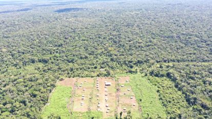 El impacto de la ocupación en los bosques