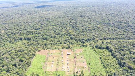 El impacto de la ocupación en los bosques