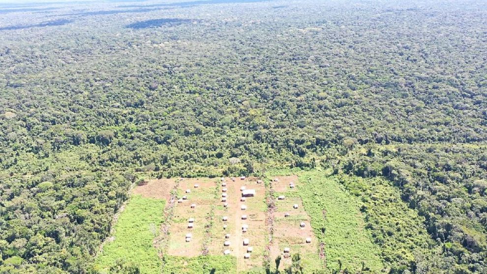 El impacto de la ocupación en los bosques