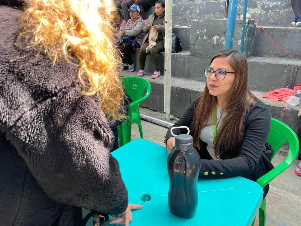 El objetivo es explicar en qué consiste el sistema ROMA-ARGO