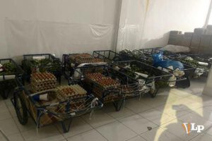 Imagen de los carritos donde los menores iban a vender
