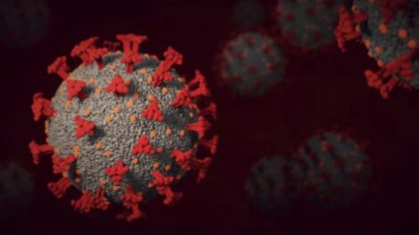 Subvariante BA.2 del coronavirus en Bolivia