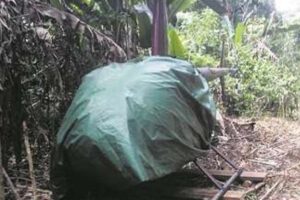 Helicóptero decomisado encontrado por la Fuerza Especial de Lucha Contra el Narcotráfico