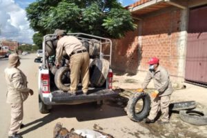 Dengue en Tarija: Aumento de casos y prevención intensificada