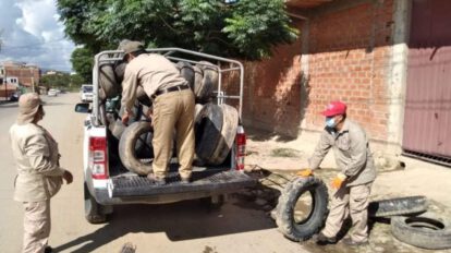 Dengue en Tarija: Aumento de casos y prevención intensificada
