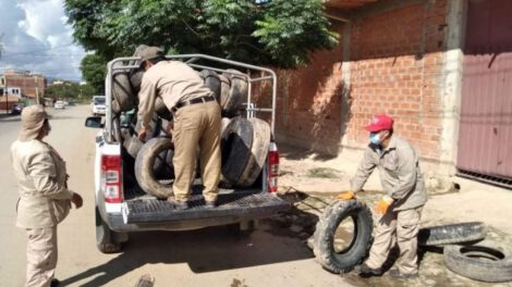 Dengue en Tarija: Aumento de casos y prevención intensificada