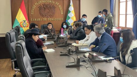 Defensor del Pueblo y las impugnaciones presentadas