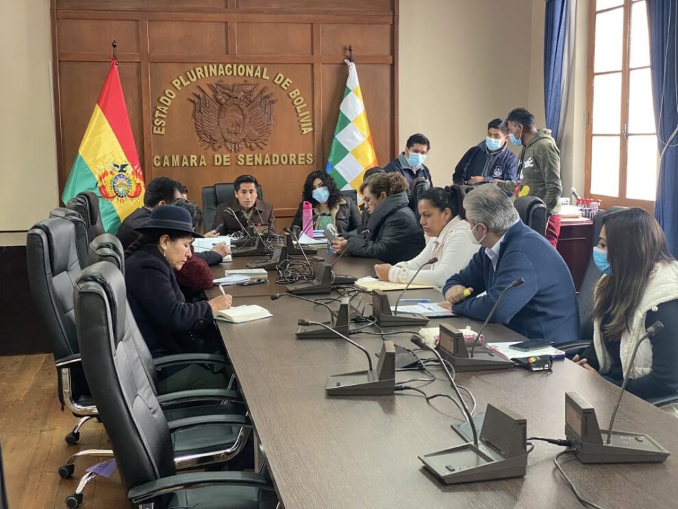 Defensor del Pueblo y las impugnaciones presentadas