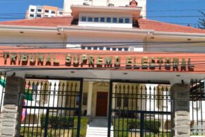 Renovación de directivas en partidos políticos según el TSE