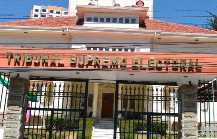 Renovación de directivas en partidos políticos según el TSE