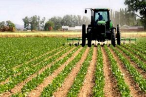 Empresa Boliviana de Producción Agropecuaria