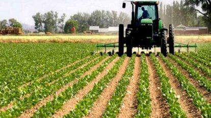 Empresa Boliviana de Producción Agropecuaria