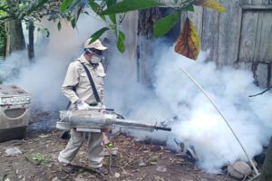 Campaña de fumigación en San Borja para frenar el dengue