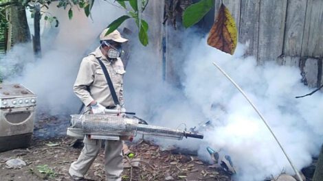 Campaña de fumigación en San Borja para frenar el dengue