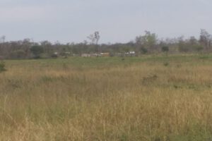 Sequía en el territorio Guaraní