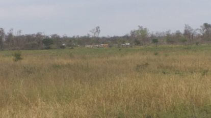Sequía en el territorio Guaraní