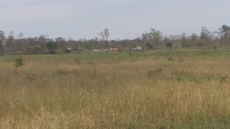 Sequía en el territorio Guaraní