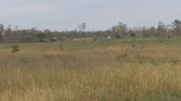 Sequía en el territorio Guaraní