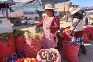 Feria Agrícola y Ganadera Productiva en Socamani