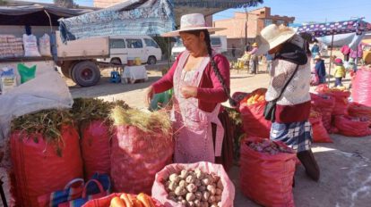 Feria Agrícola y Ganadera Productiva en Socamani