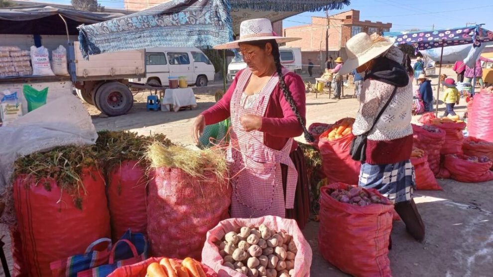Feria Agrícola y Ganadera Productiva en Socamani