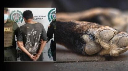 Maltrato animal en Santa Rosa de Cabal