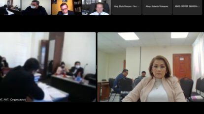 Caso Golpe II suspendido mientras el TCP resuelve recurso de Añez