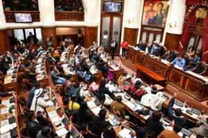 Sesión en la Asamblea Legislativa Plurinacional para elegir al nuevo Defensor del Pueblo