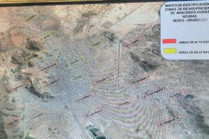 Viudas negras en Oruro debido al frío