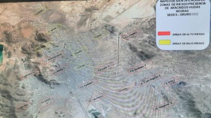 Viudas negras en Oruro debido al frío
