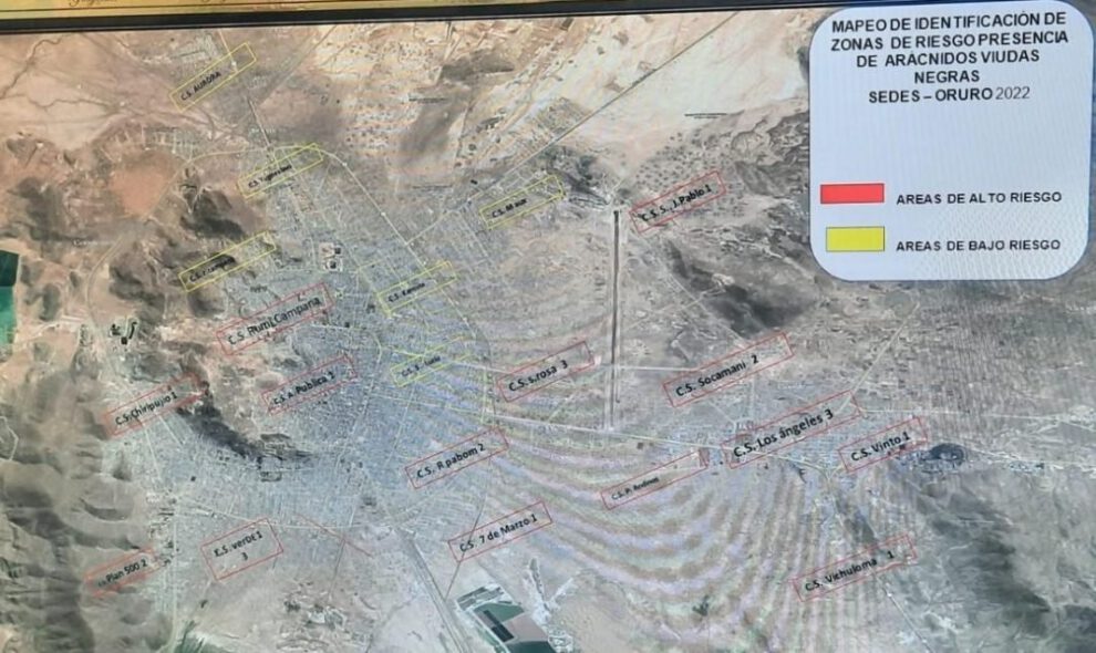 Viudas negras en Oruro debido al frío