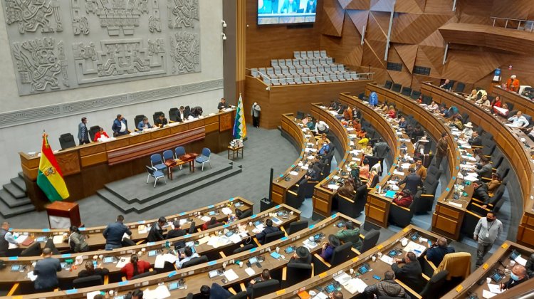 Sesión de la Asamblea Legislativa Plurinacional para la elección de un nuevo Defensor del Pueblo