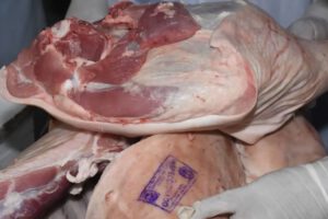 Desabastecimiento de carne de cerdo por el alza de precio