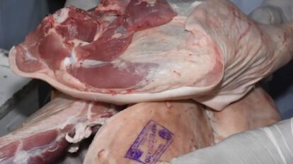 Desabastecimiento de carne de cerdo por el alza de precio