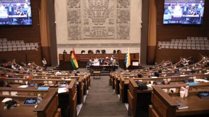 Elección del nuevo Defensor del Pueblo convocada por David Choquehuanca