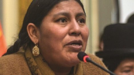 Renovación en la dirigencia del MAS