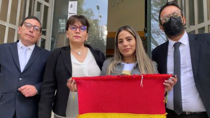 Acción de Inconstitucionalidad en el caso de Jeanine Añez